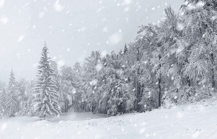 Neige parfois abondante en montagne cette semaine